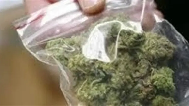 Bolsita de marihuana, sustancia que uno de los detenidos intercambiaba con otra persona.