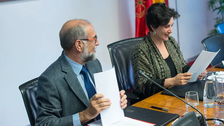 El Consejero de salud, DOmínguez en una comparaecencia. PABLO LASAOSA 3