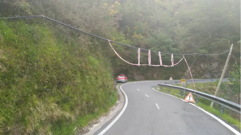 El tendido eléctrico de Goizueta, caído en uno de sus accesos. 