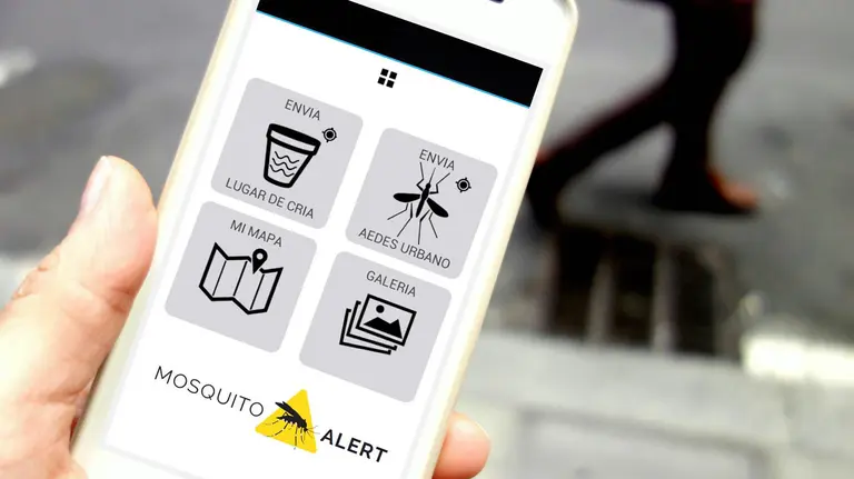 Nueva APP de alerta por el mosquito Zika.