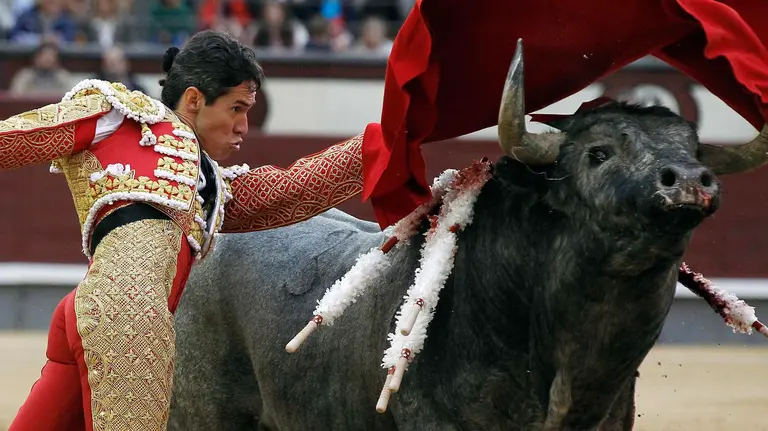 GRA479. MADRID, 14/05/2016.- El mexicano Diego Silveti da un pase con la muleta a su primer toro, durante la novena corrida de la feria de San Isidro, hoy en Las Ventas en Madrid, en la que comparte cartel con Fernando Robleño y Miguel Ángel Delgado ante reses de la ganadería de Flor de Jara. EFE/Kiko Huesca