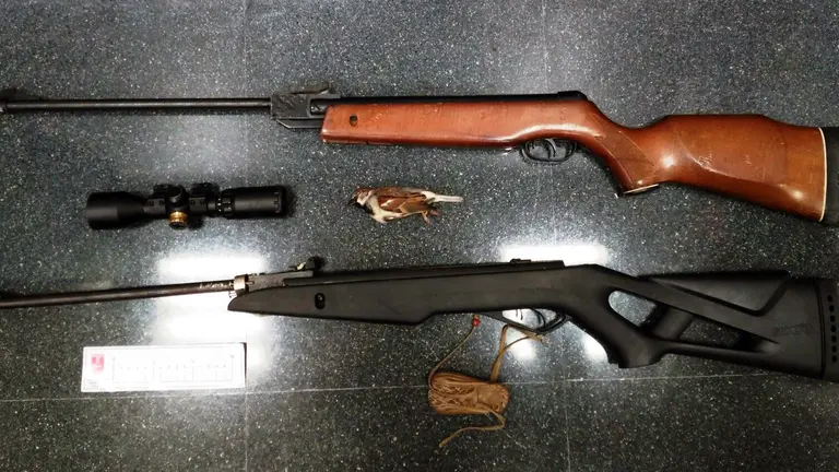 Carabinas decomisadas en Falces por cazar en el centro urbano.