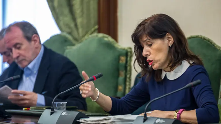 Maite Esporrín en la reunión de la Comisión de Asuntos Ciudadanos del Ayuntamiento de Pamplona. IÑIGO ALZUGARAY
