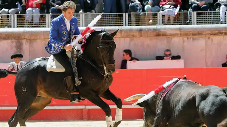 Pablo Hermoso de Mendoza en plena actuación.  Pablohermoso.net