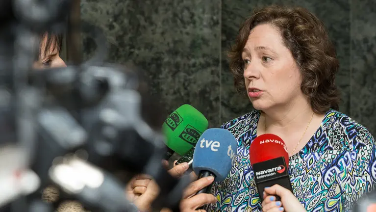 La consejera de Desarrollo Rural, Medio Ambiente y Administración Local, Isabel Elizalde, comenta el accidente de ayer en el que una avioneta chocó con un buitre.(2). IÑIGO A