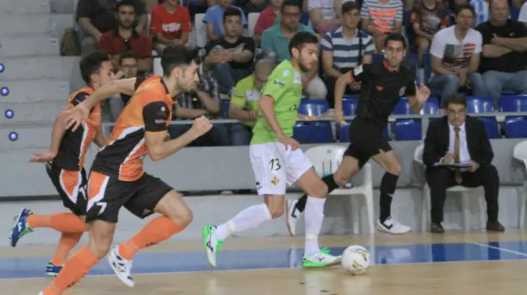 Partido Palma - Aspil Vidal. Lnfs.