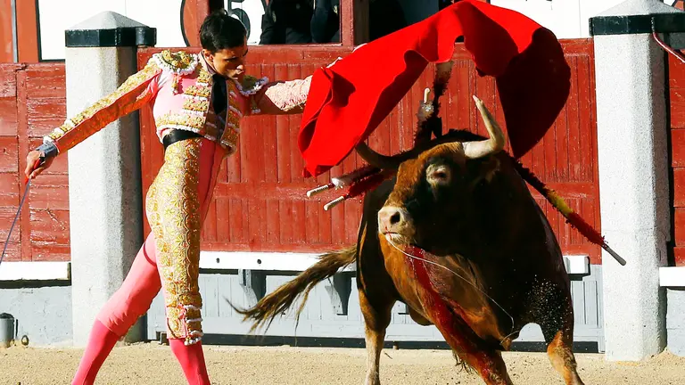GRA230. MADRID, 22/05/2016.- El diestro Paco Ureña durante la brega con el primero de los de su lote en el decimoséptimo festejo de la Feria de San Isidro, celebrado esta tarde en la monumental de Las Ventas, donde compartió cartel con Manuel Jesús "El Cid" y Saúl Jiménez Fortes. EFE/J.P.Gandul