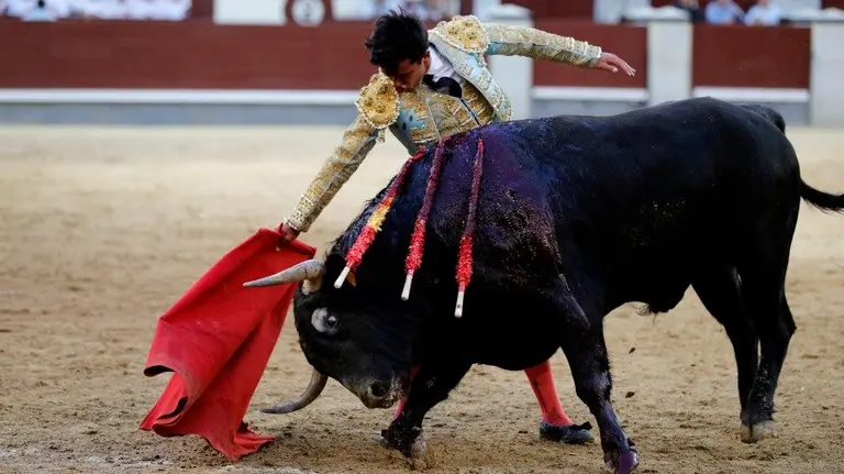 El novillero Juan de Castilla. EFE. JUANJO MARTÍN