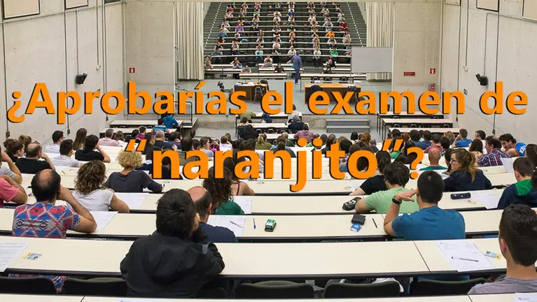 Aspirantes a naranjito realizando el examen. LASAOSA