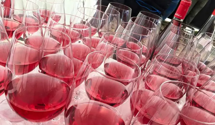 XVIII Día del rosado en San Martín de Unx