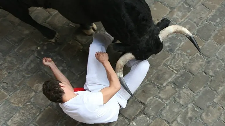 Encierro del día 10 de julio de 2014. San Fermín, sanfermines, toros, cornada. CRISTINA NÚÑEZ BAQUEDANO 4