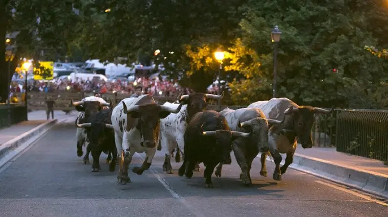 Encierrillo del día 11 de julio de 2014. San Fermín, sanfermines, toros, pastores, encierro. CRISTINA NÚÑEZ BAQUEDANO 1