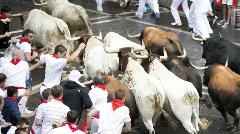 Encierro del día 12 de julio de 2014. San Fermín, sanfermines, toros. CRISTINA NÚÑEZ BAQUEDANO 3