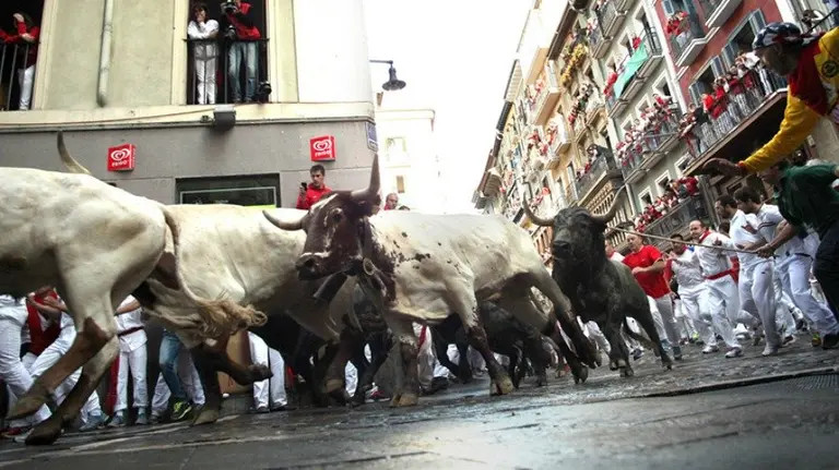 Encierro del día 13 de julio de 2014. San Fermín, sanfermines, toros. CRISTINA NÚÑEZ BAQUEDANO 2