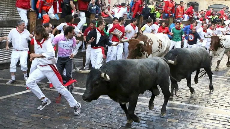 Encierro del día 13 de julio de 2014. San Fermín, sanfermines, toros. CRISTINA NÚÑEZ BAQUEDANO 4