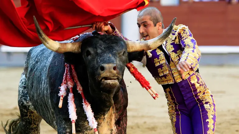 GRA424. MADRID, 05/06/2016.- El diestro Javier Castaño, que hoy reaparecía tras sufrir un cáncer de testículo, con su primero en la última de San Isidro celebrada esta tarde en la monumental de Las Ventas donde compartió cartel con Rafaelillo y Pérez Mota, con toros de la legendaria ganadería de Miura. EFE/Víctor Lerena