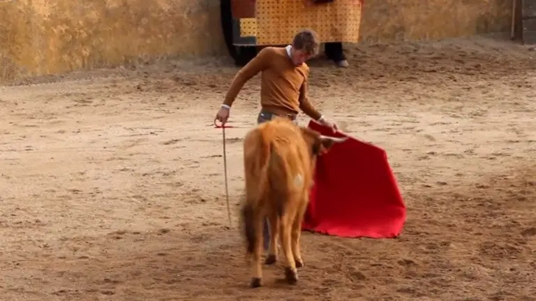 Manuel escribano lidiando vaquillas en una capea de Toledo.