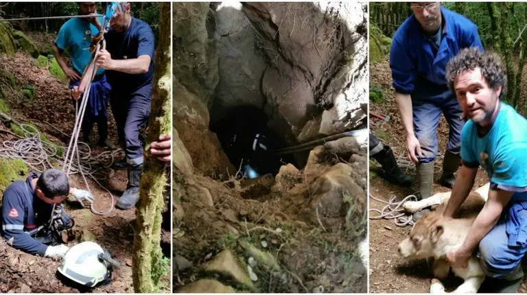Tríptico con imágenes del rescate del ternero en Garralda. Bomberos