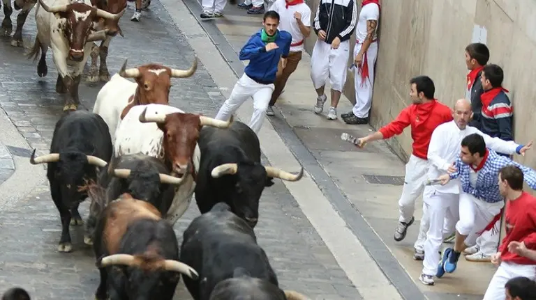 Encierro del día 11 de julio de 2014. San Fermín, sanfermines, toros. CRISTINA NÚÑEZ BAQUEDANO 3