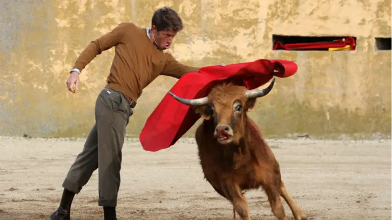 Escribano tentando vaquillas en Toledo. JOAQUÍN ROMERA
