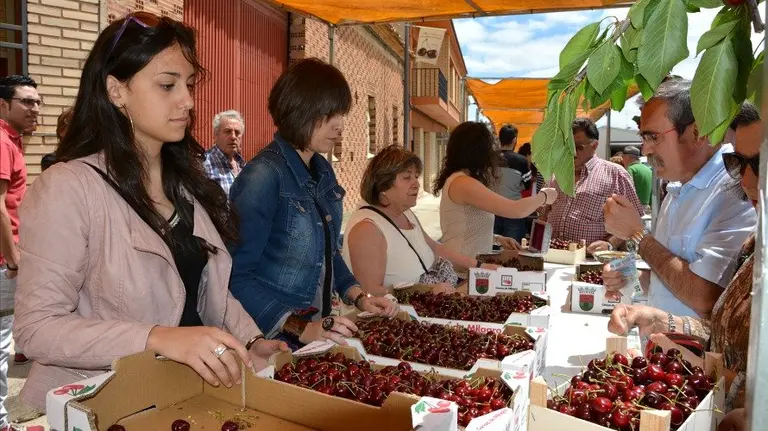 Día de la cereza de Milagro. LEIRE ESCALADA (12)
