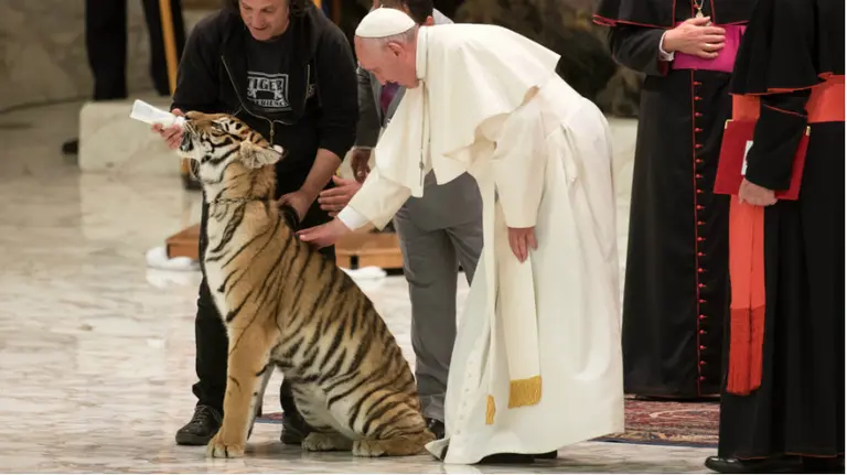 Audience to the &#34;World of Travelling Shows&#34; at Paul VI Hall at the Vatican. Papa Francisco.