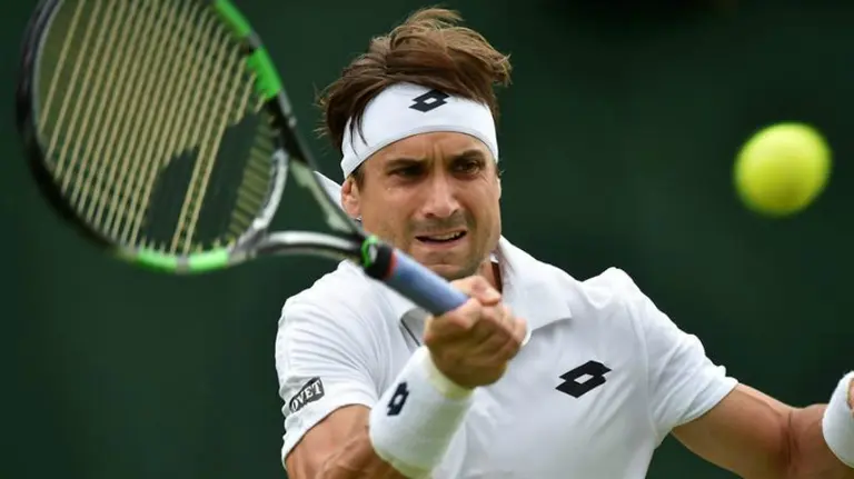 El tenista español David Ferrer. Efe.