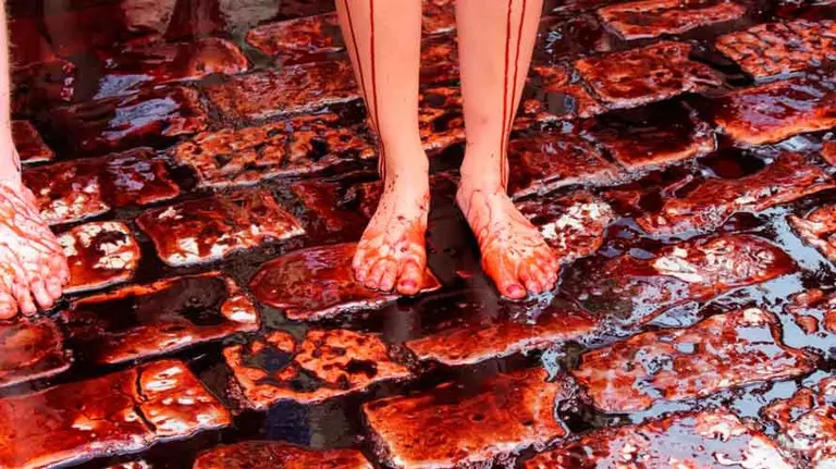 La asociación animalista PETA protesta contra las corridas de Toros en la Plaza Consistorial. S. REDíN (4)