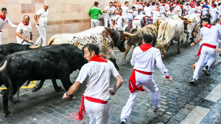 Primer encierro de San Fermín 2016 con toros de Fuente Ymbro en Santo Domingo. NATALIE GÓMEZ (14)