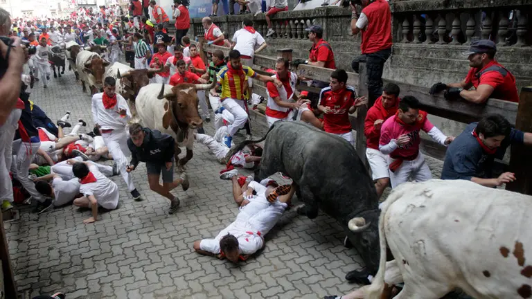 Los toros de José Escolar entrando a la plaza de toros. JORGE NAGORE (5)