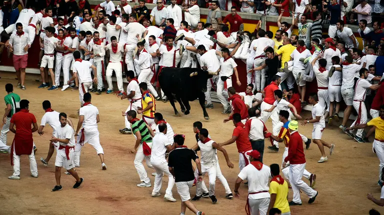 Cuarto encierro de San Fermín con toros de Pedraza de Yeltes en la plaza de toros. PABLO LASAOSA (6)