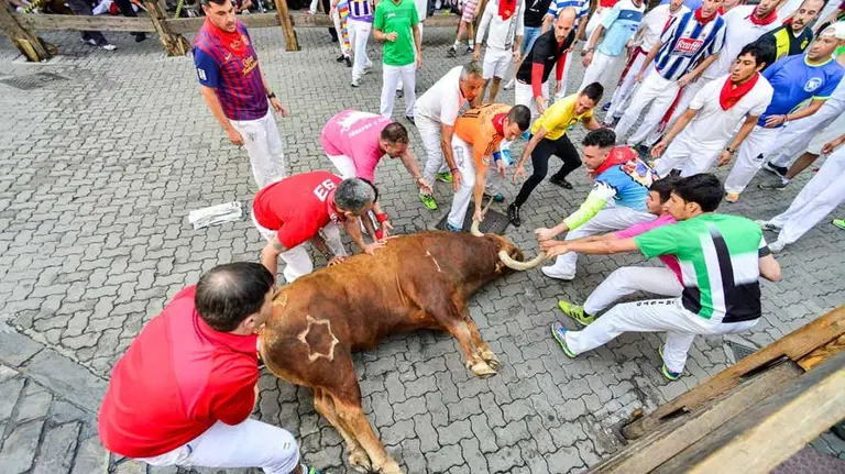 Caída de los Jandilla en el quinto encierro de los Sanfermines 2016 en Telefónica. ABEL CASTRO (7)