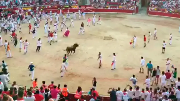 Llegada a la plaza de los últimos toros de Jandilla que han caído en el callejón.