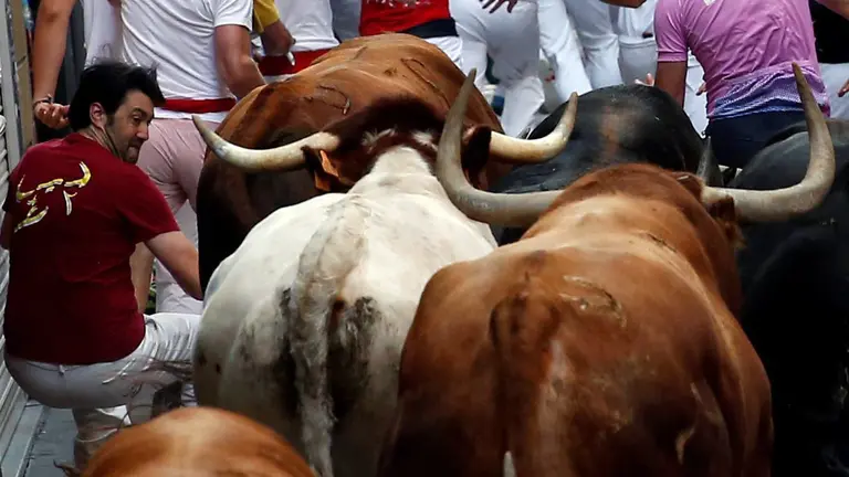 A runner falls next to Jandilla bulls during the fifth running of the bulls at the San Fermin festival in Pamplona, northern Spain, July 11, 2016. REUTERS/Susana VeraCODE: X01622