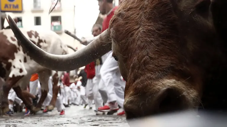 Un toro de la ganadería de Núñez del Cuvillo a su paso por la curva de Mercaderes durante el séptimo encierro de los sanfermines 2016.EFE.Javier Lizón (9)