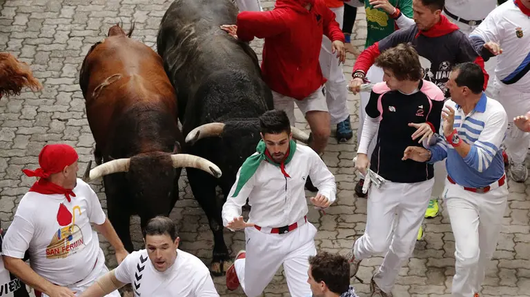 Toros de la ganadería gaditana de Nuñez del Cubillo hacen su entrada al callejón de la Plaza de Toros de Pamplona durante el séptimo encierro de los Sanfermines 2016. EFE. Josu Santesteban (1)