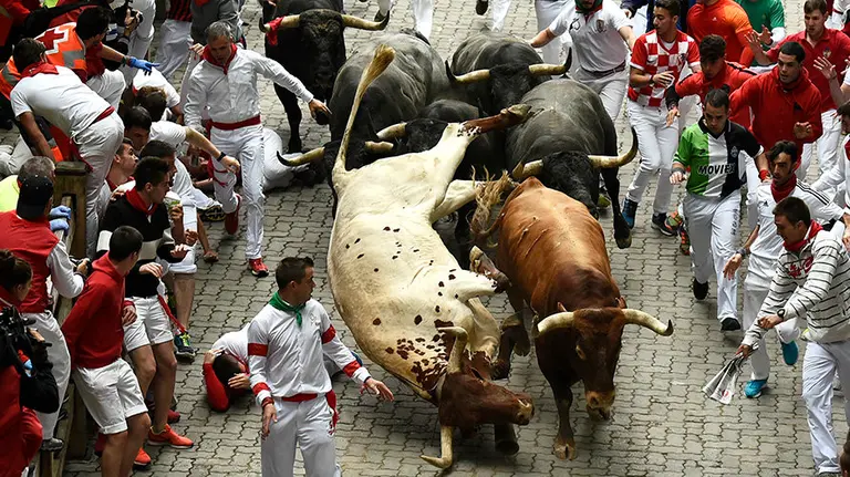 Último encierro de las fiestas de San Fermín protagonizado por Miura en la bajada al callejón. PABLO LASAOSA 09