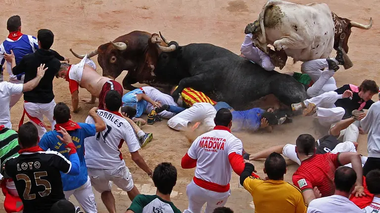 Los toros de la ganadería de Miura a su llegada al coso pamplonica tras cerrar hoy los encierros de San Fermín de 2016. EFE. Daniel Fernández (1)