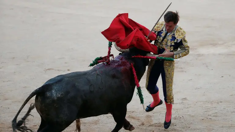 Spanish bullfighter Eduardo Davila Miura gets tackled by a bull during the last bullfight at the San Fermin Festival in Pamplona, northern Spain, July 14, 2016. REUTERS/Susana VeraCODE: X01622