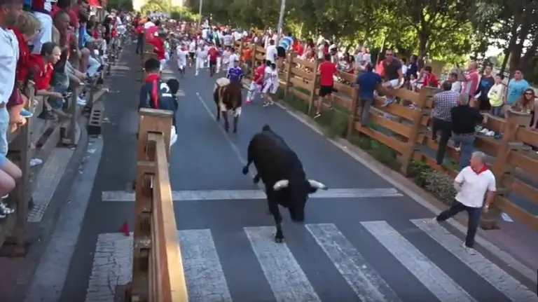 Segundo encierro de las fiestas de tudela