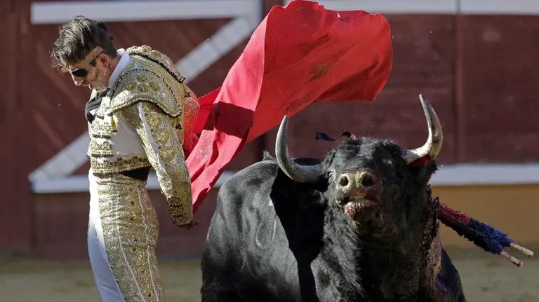 El torero gaditano Juan José Padilla durante la lidia a su primer toro de la tarde en la corrida de toros mixta. EFEVillar López