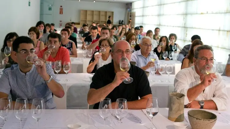 Catas de vinos maridados con queso y degustación de aceites de oliva.