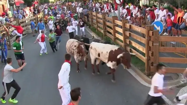 Imagen del tercer encierro de Tudela, con la ganadería Germán Vidal de Cabanes