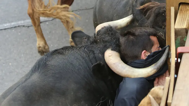 La fotografía de Unai Beroz que ha ganado una mención en el certamen internacional de foto de ND Awards.