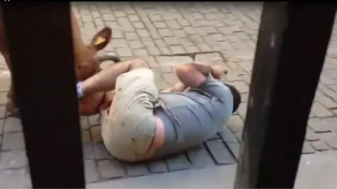 Una de las imágenes del vídeo que muestra la angustiosa cogida de un mozo en Puente La Reina