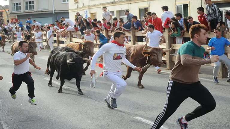 Las imágenes del segundo encierro de novillos en las fiestas de Lodosa. Miguel Osés (6)