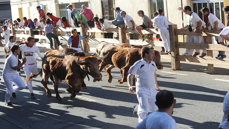 Tercer encierro de Lodosa. MIGUEL OSÉS