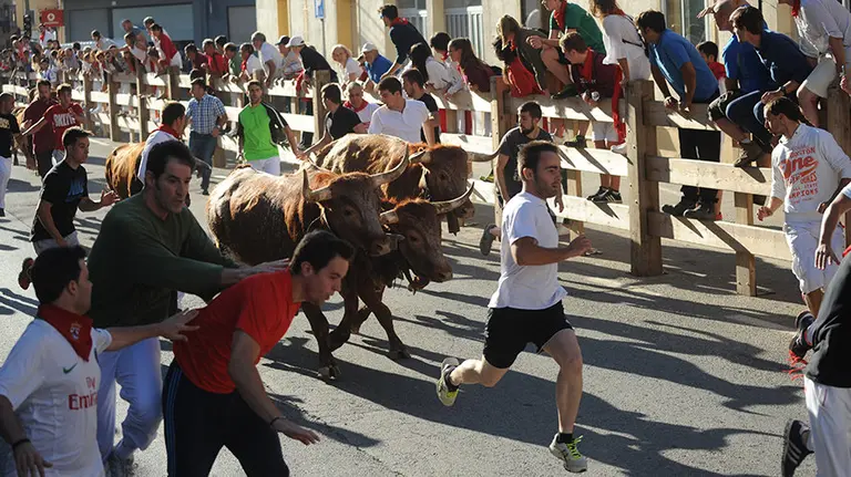 Cuarto encierro de Lodosa. MIGUEL OSÉS (4)