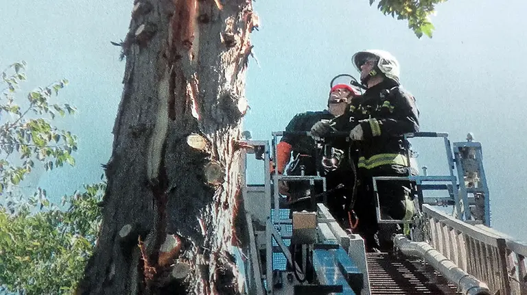 Los jardineros del Ayuntamiento de Pamplona contarán este otoño con una plataforma elevadora telescópica que les permitirá podar árboles de hasta 25 metros