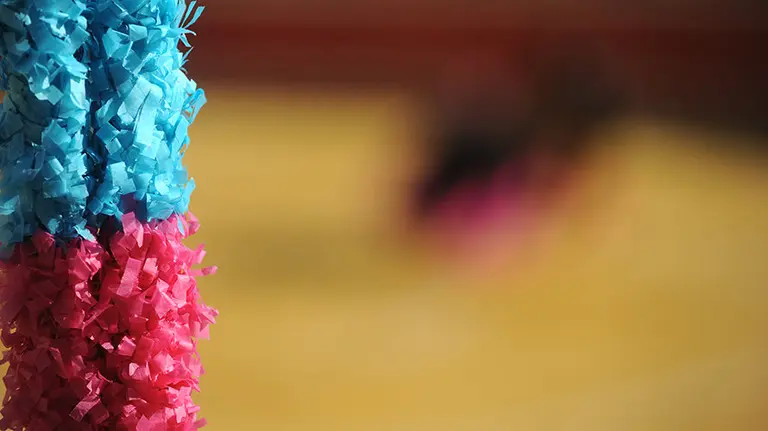 Novillada en Lodosa con toros de Pincha y los novilleros Toñete Catalán y Darío Domínguez. MIGUEL OSÉS  (7)